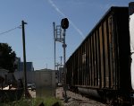 APP signal at CSX S156.31 mp